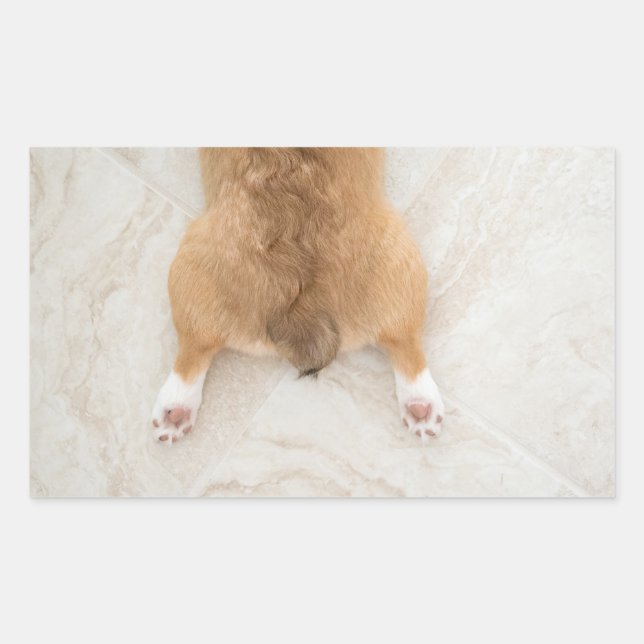 Adesivo Retangular bumbum corgi (Frente)