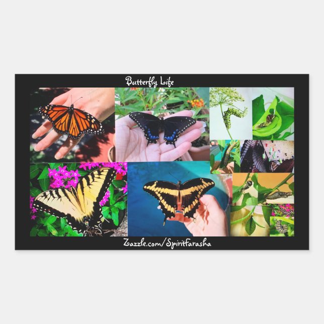 Adesivo Retangular Butterfly Life  (Frente)