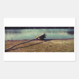 Adesivo Retangular Cabeça