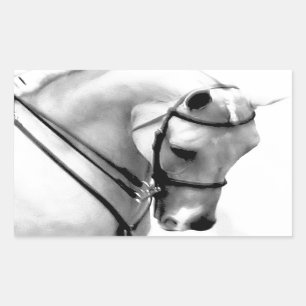 Adesivo Retangular Cabeça de cavalo branco bonita