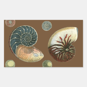 Adesivo Retangular Cacau