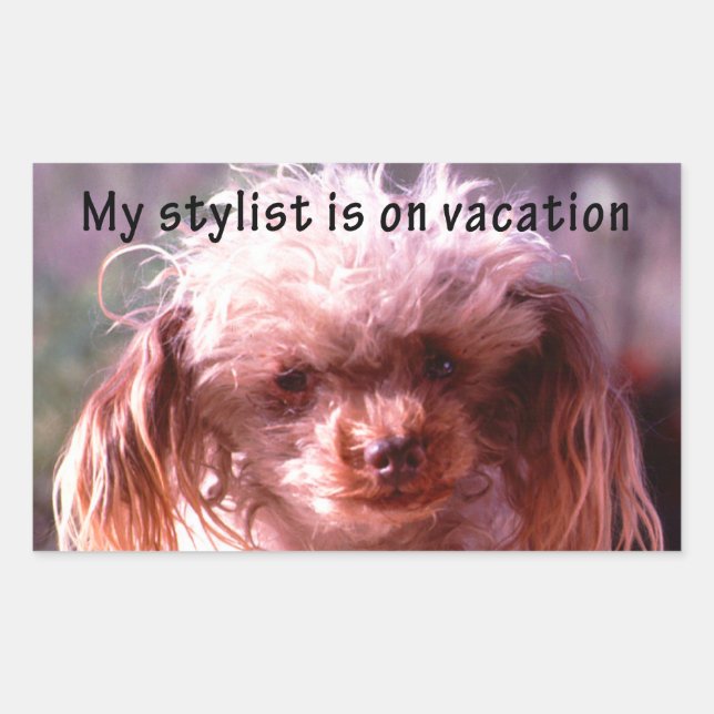 Adesivo Retangular Cachorro de Cabelo (Frente)