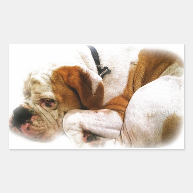 Adesivo Retangular Cachorro para Baixo (Frente)