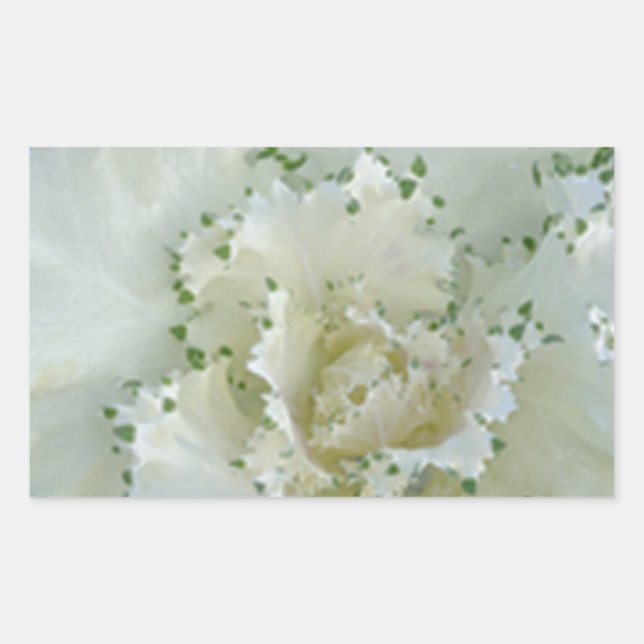 Adesivo Retangular Cactus (Frente)