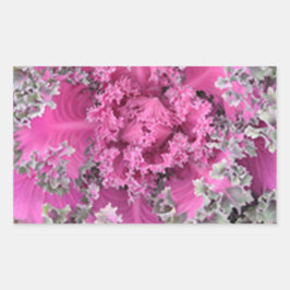 Adesivo Retangular Cactus