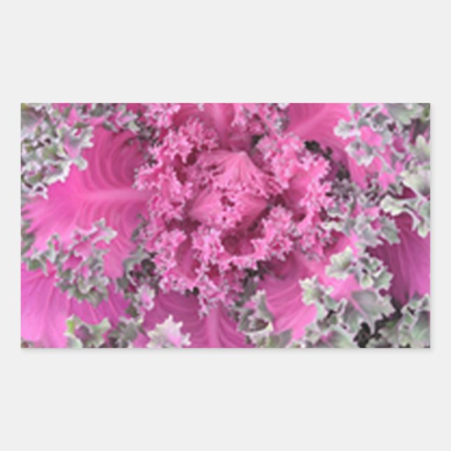 Adesivo Retangular Cactus (Frente)