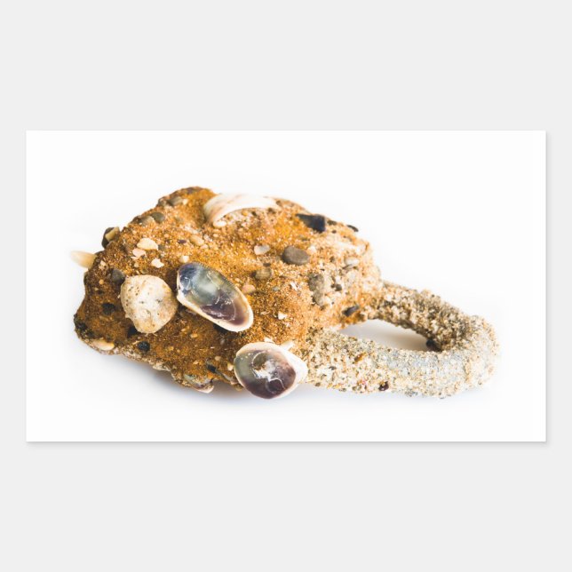 Adesivo Retangular Cadeado com penas (Frente)