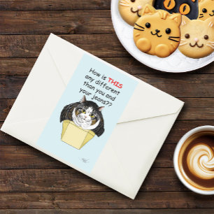 Adesivo Retangular Caixa de Gatos Engraçado Chubby