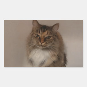 Adesivo Retangular Calico Cat Stickers
