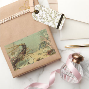 Adesivo Retangular Camarão, Vida Marinha Subaquática, Animais Marinho