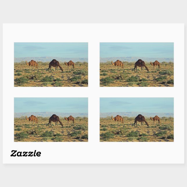 Adesivo Retangular Camels, Tunísia (Folha)