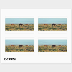 Adesivo Retangular Camels, Tunísia