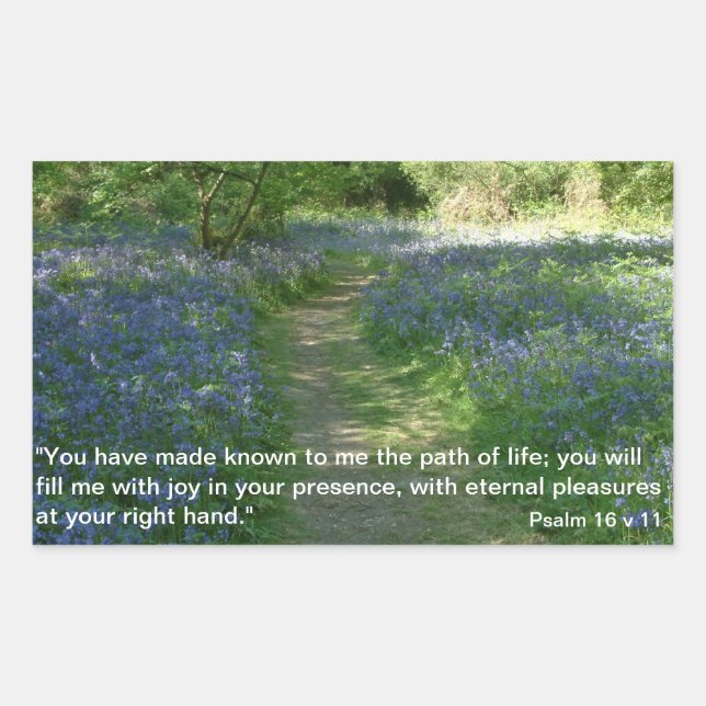 Adesivo Retangular Caminho da vida | Autocolantes (Frente)