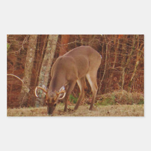 Adesivo Retangular Camuflagem de carvalho vermelho Saco de carne de v