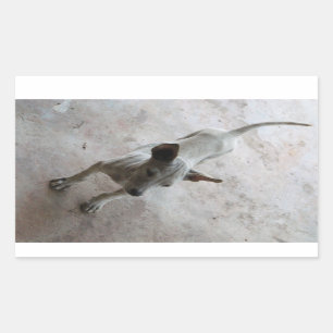 Adesivo Retangular Cão de filhote de cachorro tailandês de Luk Maa