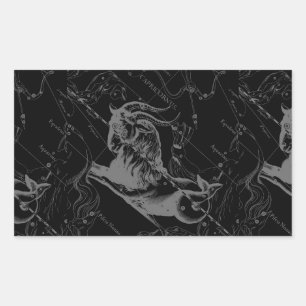 Adesivo Retangular Capricórnio Constelação Mapear Hevelius Engrenando