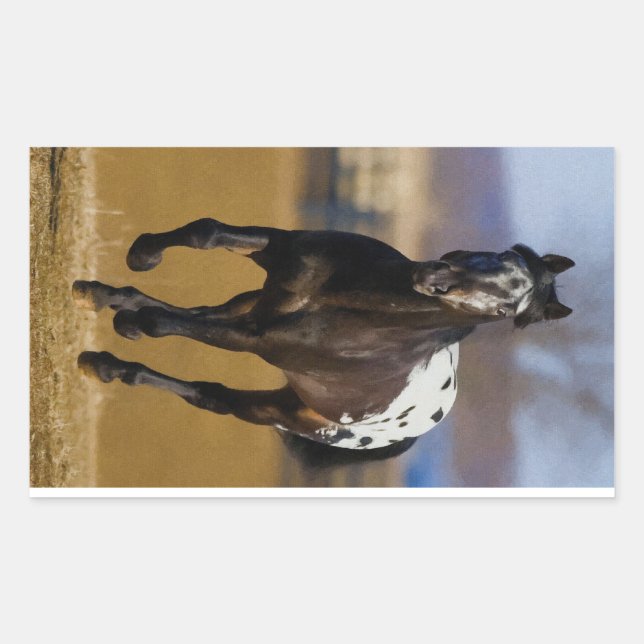 Adesivo Retangular Carregador (Frente)