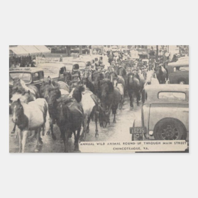 Adesivo Retangular Cartão-postal Chincoteague Pony Vintage 1941 (Frente)