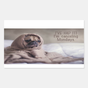 Adesivo Retangular Cartazes de cães engraçados