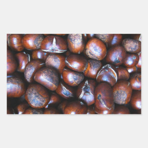 Adesivo Retangular Castanhas
