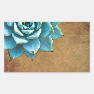 Adesivo Retangular Castanho Russo com Aquarela Suculta