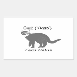 Adesivo Retangular Cat Felis Catus