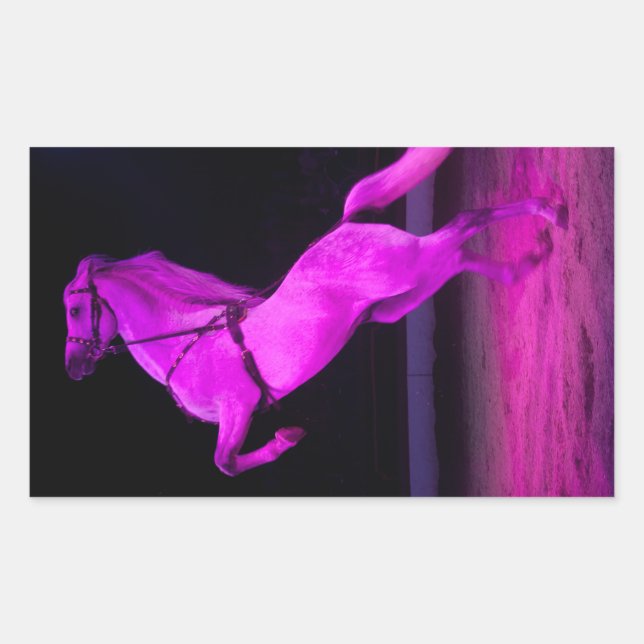 Adesivo Retangular Cavalo de Circo Rosa (Frente)