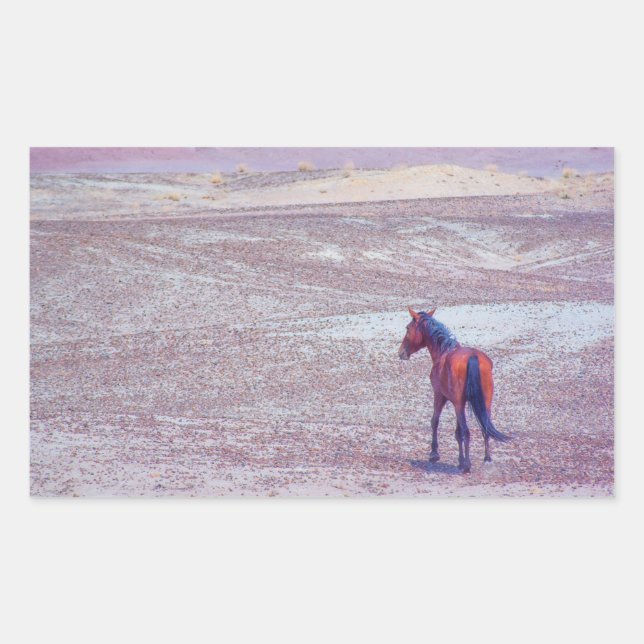 Adesivo Retangular Cavalo do Deserto P8640 (Frente)