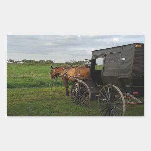 Adesivo Retangular Cavalo e carrinho de Amish no por do sol