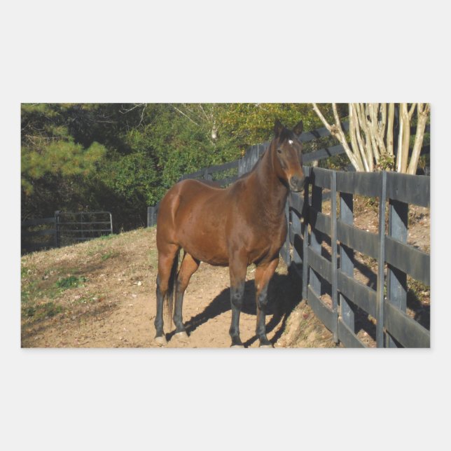 Adesivo Retangular Cavalo Marrom Contra uma Cerca (Frente)