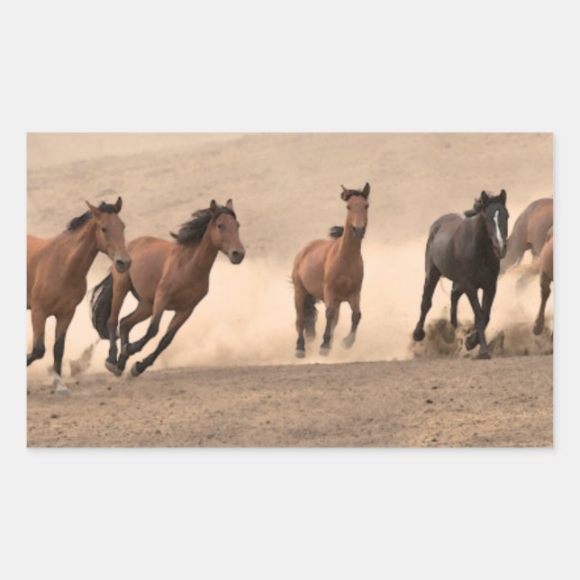 Adesivo Retangular Cavalo na Queda II (Frente)
