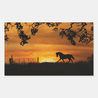 Adesivo Retangular Cavalo no protetor solar