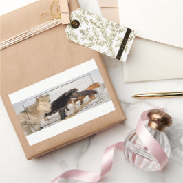 Adesivo Retangular Cavalos Islandeses