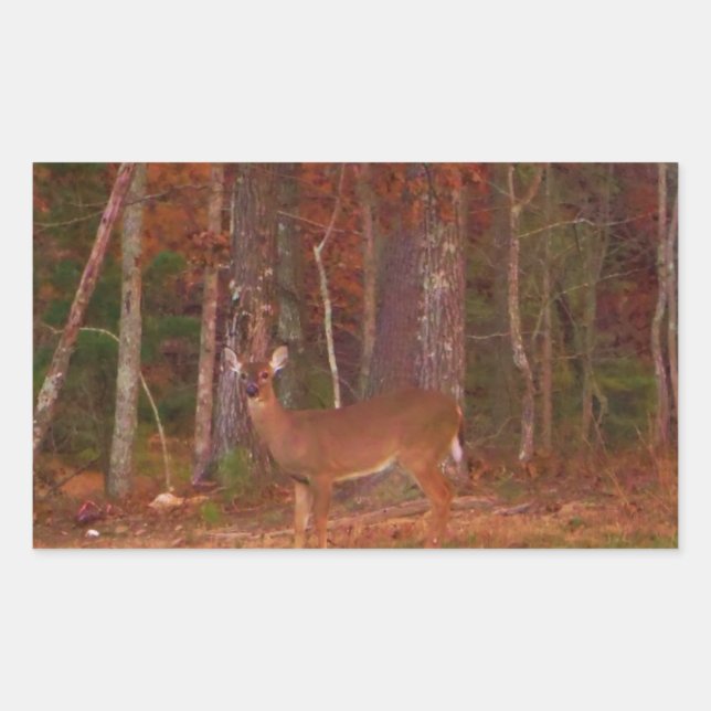 Adesivo Retangular Cerveja, Grama Verde, folhas vermelhas e Douradas (Frente)