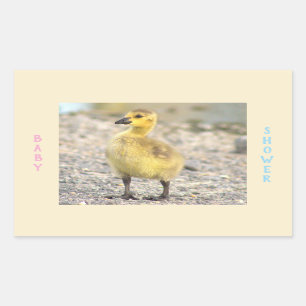 Adesivo Retangular Chá de fraldas