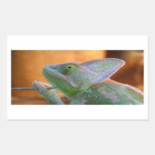 Adesivo Retangular Chameleon velado