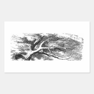 Adesivo Retangular Cheshire Cat Oculta numa Árvore