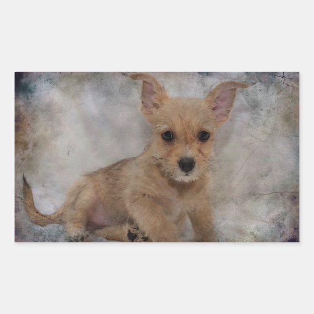 Adesivo Retangular Chihuahua/Yorkie Puppy (Frente)