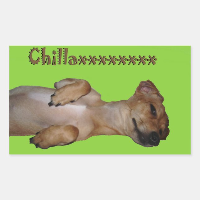 Adesivo Retangular Chillaxin Chiweenie Sticker (Frente)