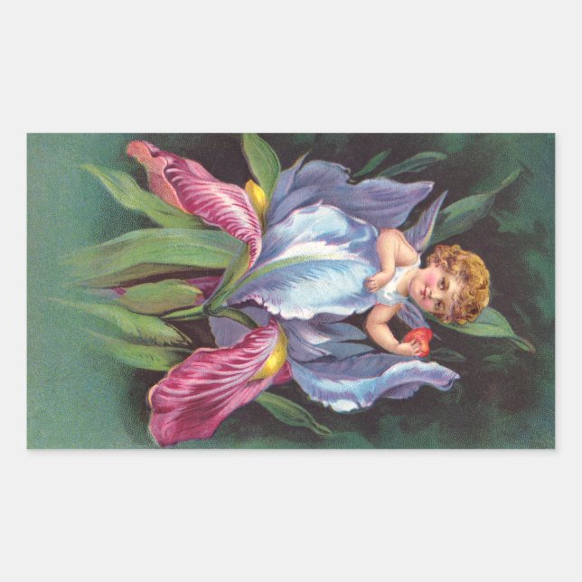 Adesivo Retangular Clapsaddle: Flor Cherub Iris (Frente)