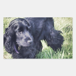 Adesivo Retangular Cocker Spaniel Puppy