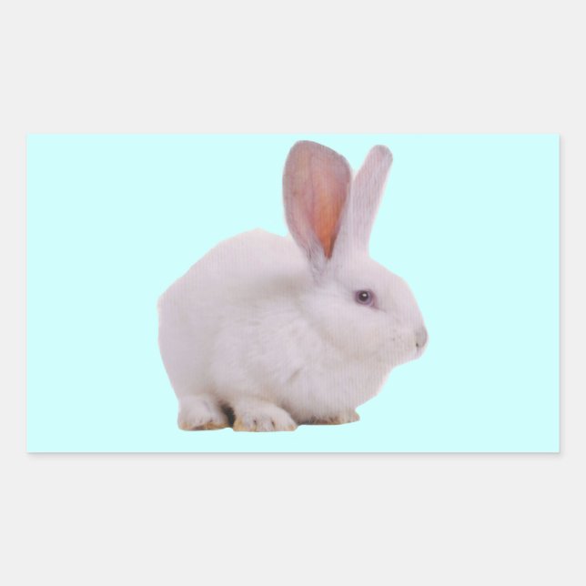 Adesivo Retangular Coelhinho Bunny Kawaii Fofo (Frente)