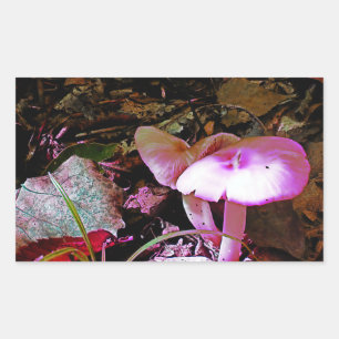 Adesivo Retangular Cogumelo Rosa