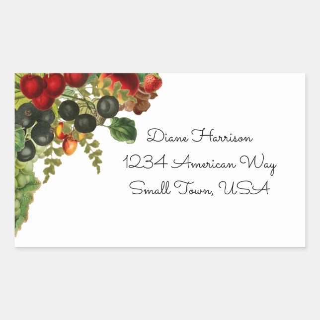 Adesivo Retangular Colas de Fruta de queda (Frente)