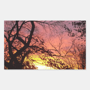 Adesivo Retangular Colorida Pôr do Sol Através de Árvores Negras