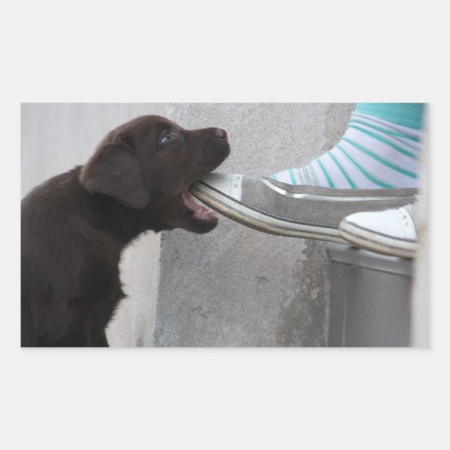 Adesivo Retangular Coma O Meu Calçado! Labrador Puppy (Frente)