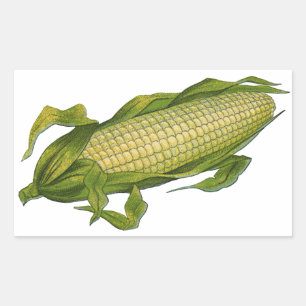Adesivo Retangular Comida de vegetais saudáveis, milho no forno