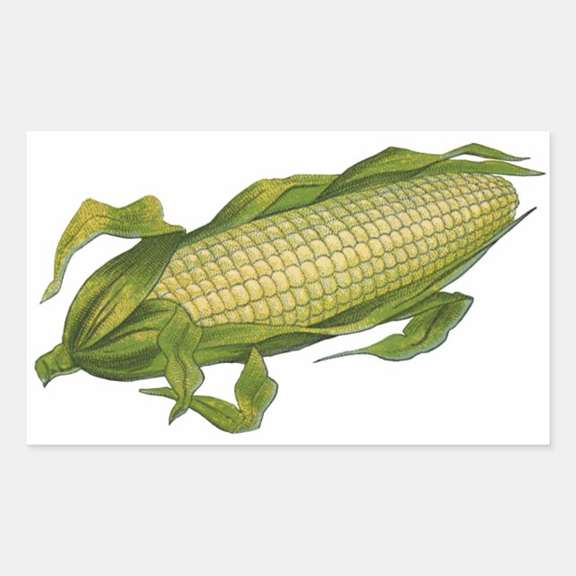 Adesivo Retangular Comida de vegetais saudáveis, milho no forno (Frente)