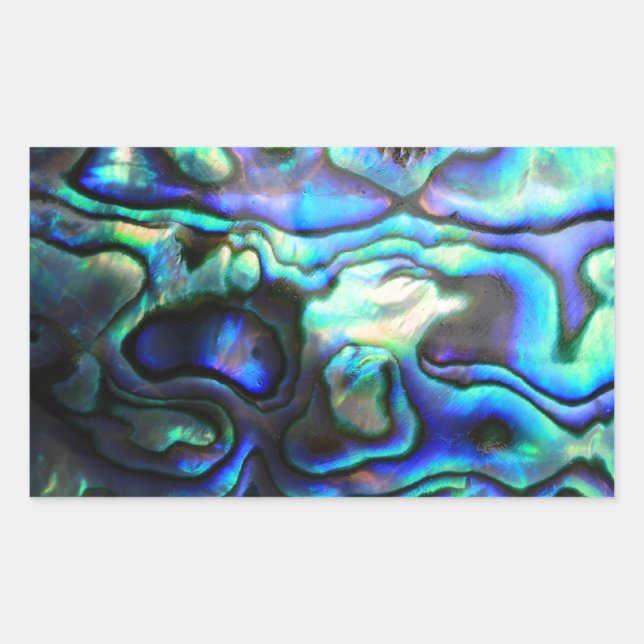 Adesivo Retangular Concha de paua abalone (Frente)
