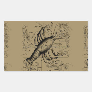 Adesivo Retangular Constelação de cancer Hevelius 1690 Engave